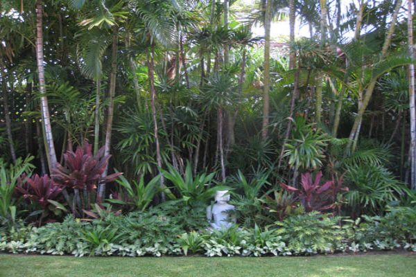 Layered tropical planting beside a lawn