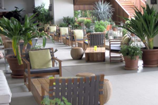Landscape installation project by Hawaii Landscape Services