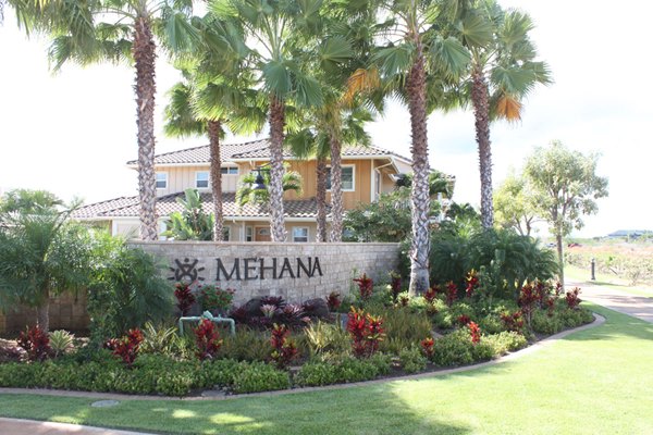 Landscape maintenance project by Hawaii Landscape Services