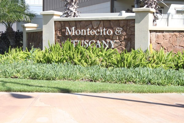 Landscape maintenance project by Hawaii Landscape Services