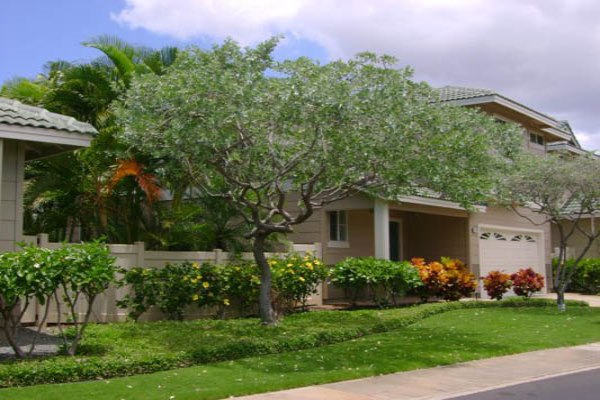 Landscape maintenance project by Hawaii Landscape Services