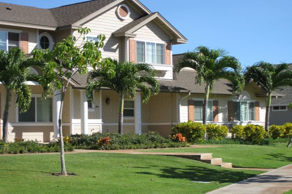 Landscape maintenance project by Hawaii Landscape Services