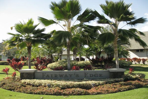 Palm circle and planted roundabout