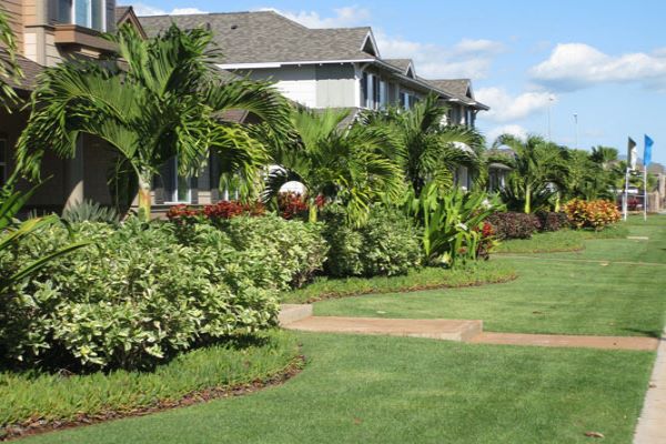 Landscape maintenance project by Hawaii Landscape Services
