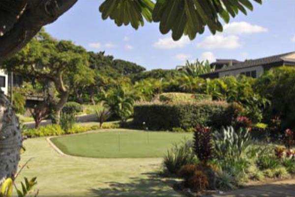 Synthetic turf project by Hawaii Landscape Services