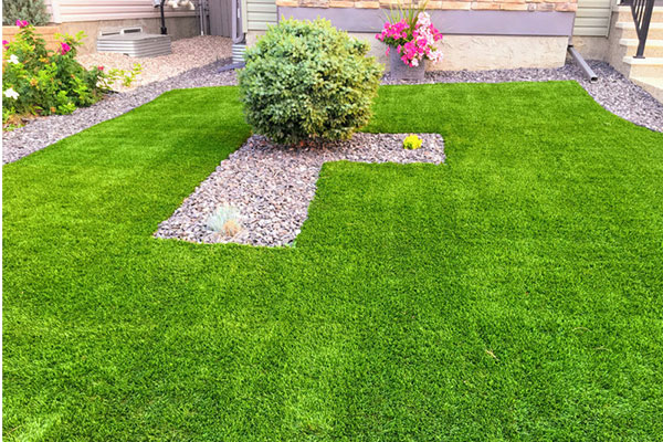 Grass & Lawns by SouthWest Greens