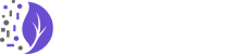 RaneWorks, Honolulu web design and SEO for local Hawaii businesses